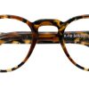 Dolomiti Vintage K50562 Tortoise New